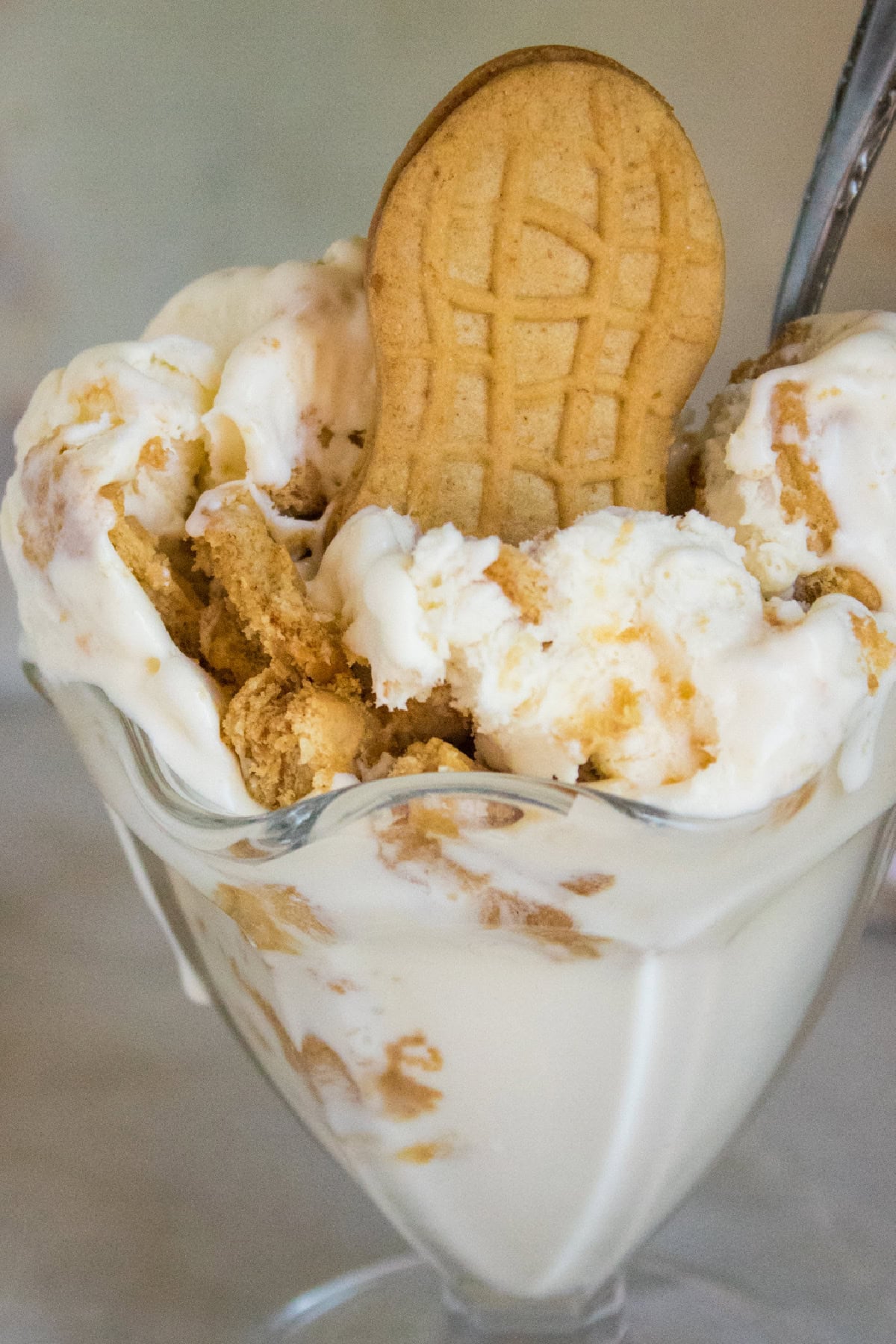 Nutter Butter Ice Cream close up