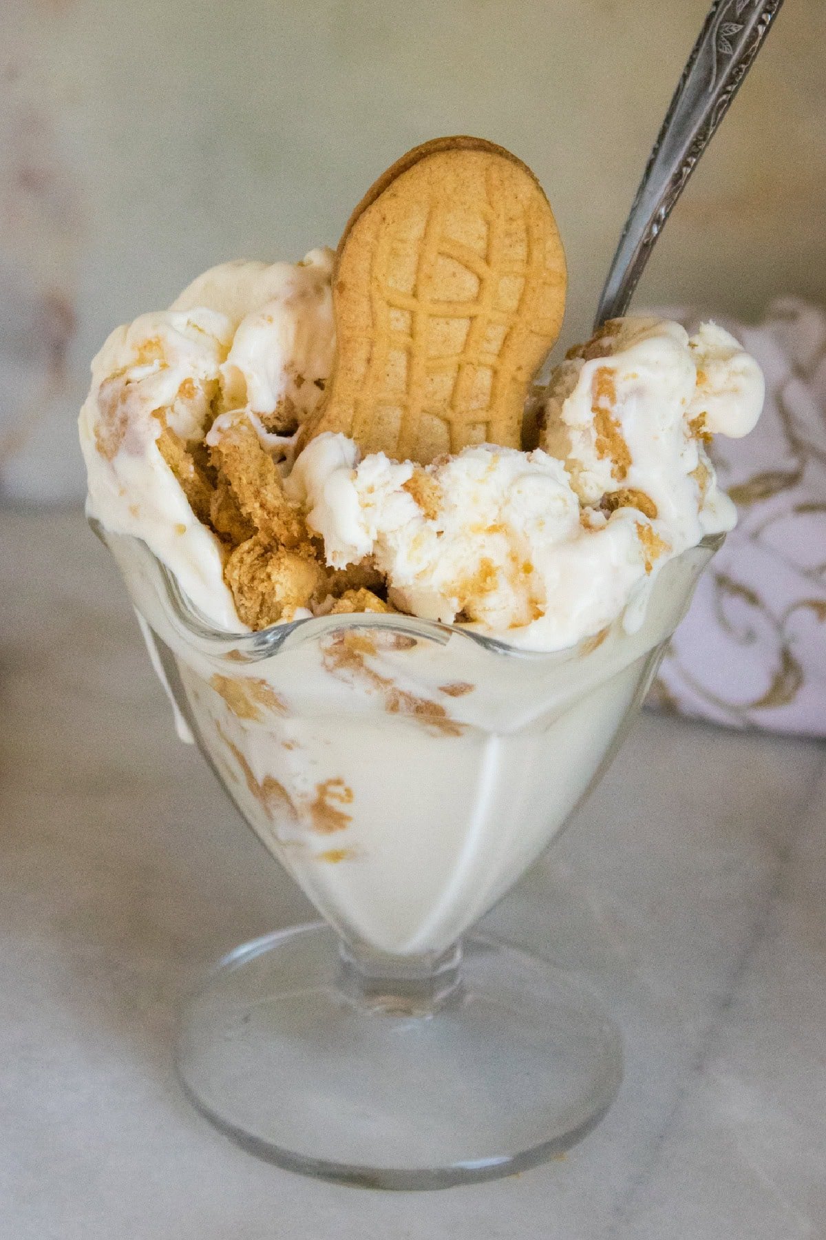 Homemade Nutter Butter Ice Cream