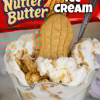 Nutter Butter Ice Cream pin