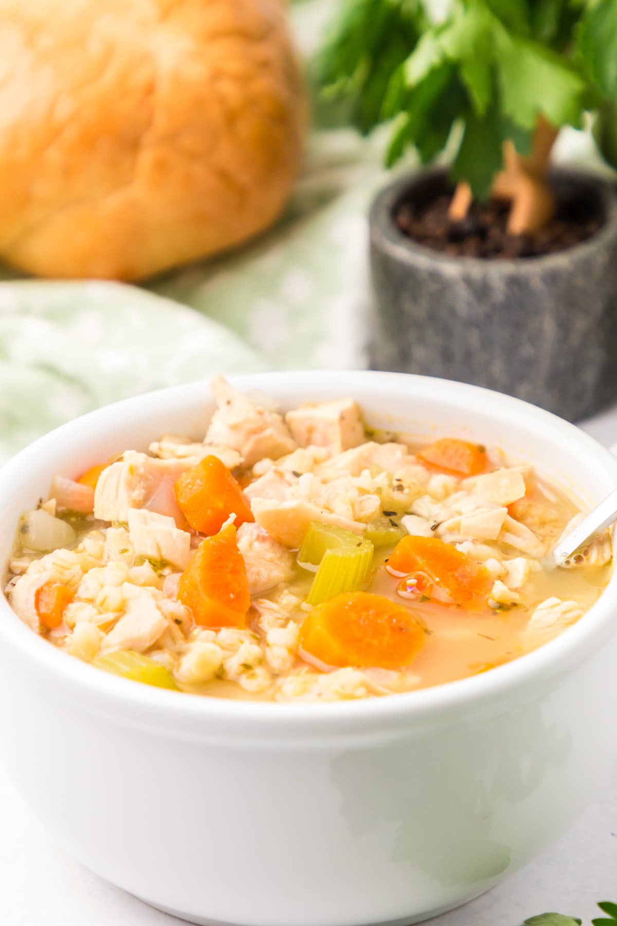 white bowl with chicken barley soup
