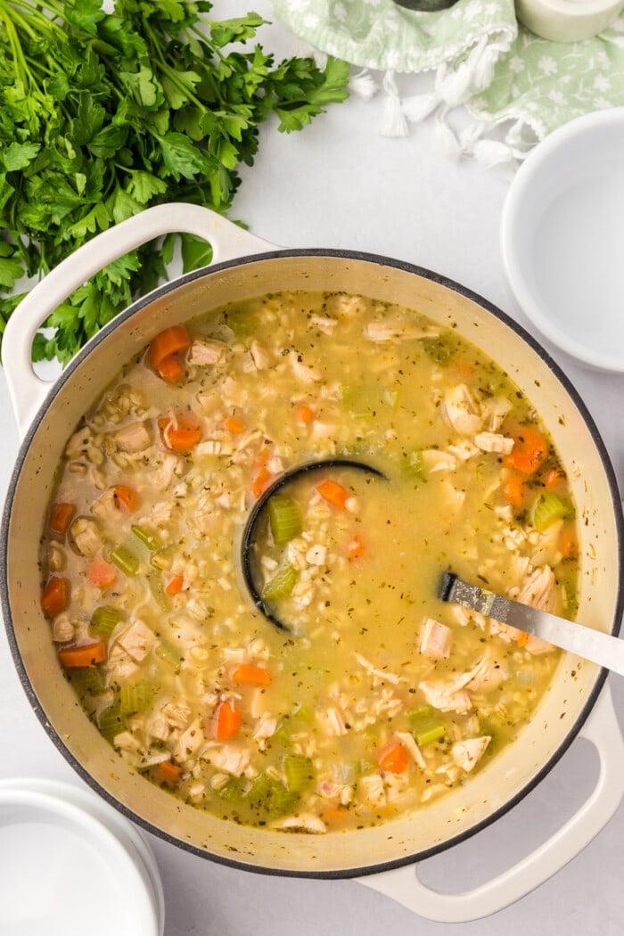 chicken barley soup cooked in dutch oven