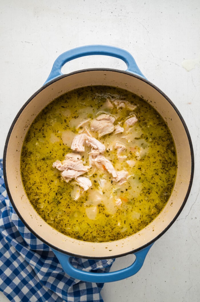 chicken cooked in pot with broth and vegetables