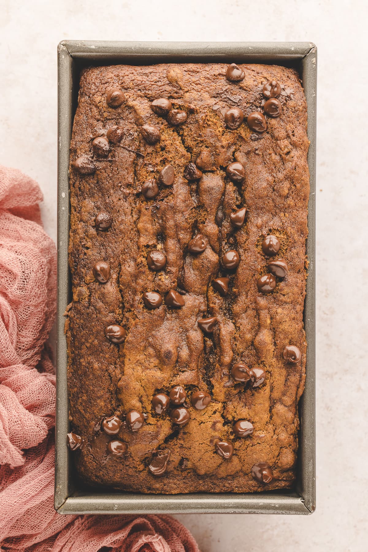 pumpkin chocolate chip bread baked in loaf pan
