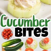 Cucumber Bites pin
