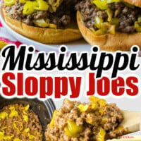 Mississippi Sloppy Joes pin