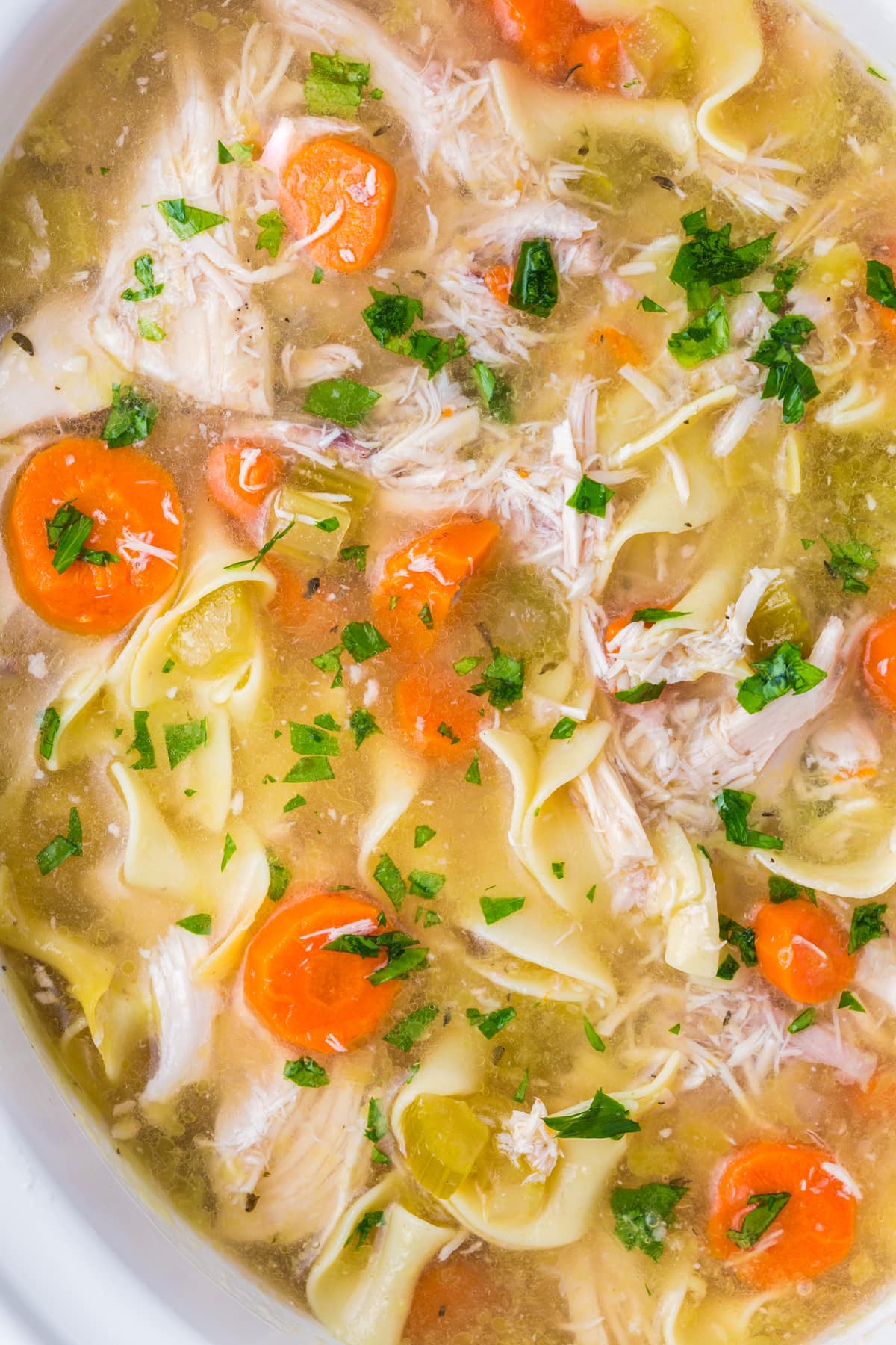 Close up of slow cooker chicken noodle soup