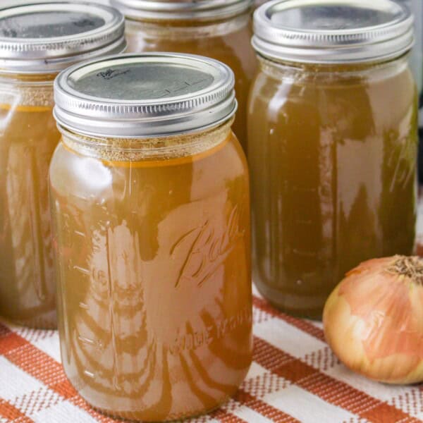 instant pot bone broth