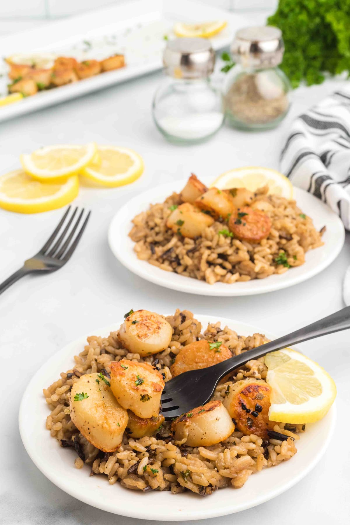 fork with scallop on plate with brown rice