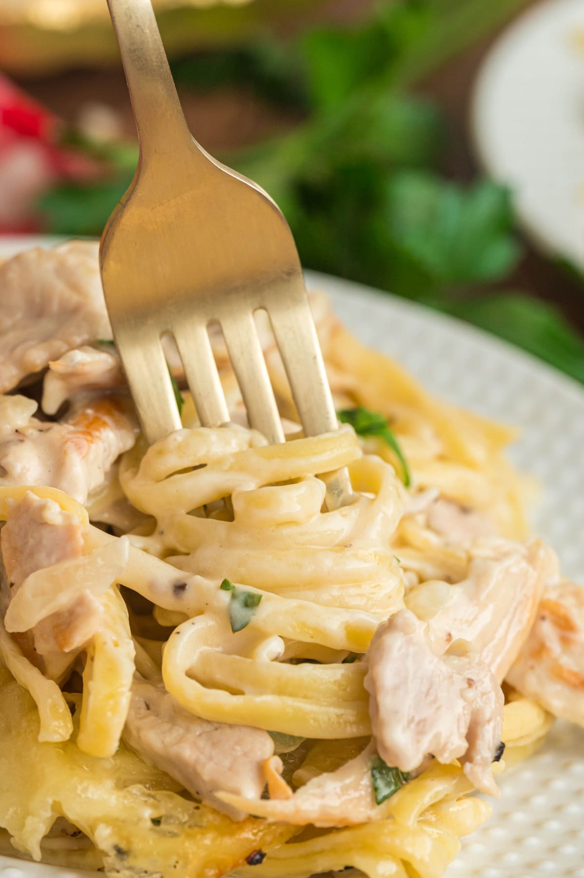 Close up of a fork in turkey tetrazzini