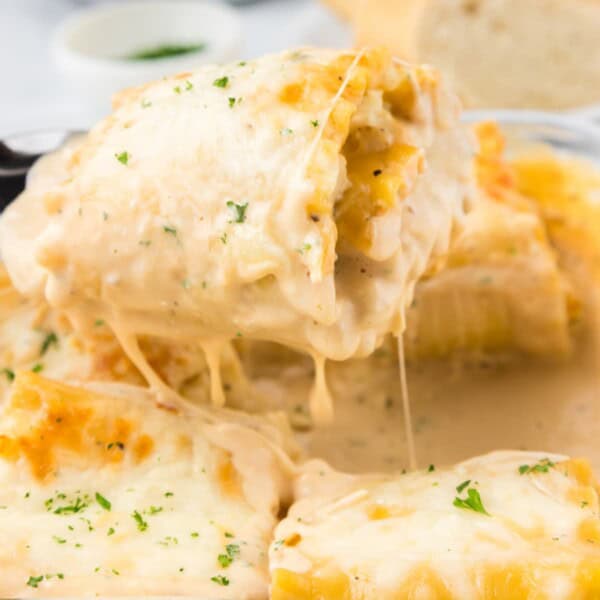Chicken Alfredo Lasagna Roll Ups feature