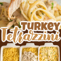 Turkey Tetrazzini pin