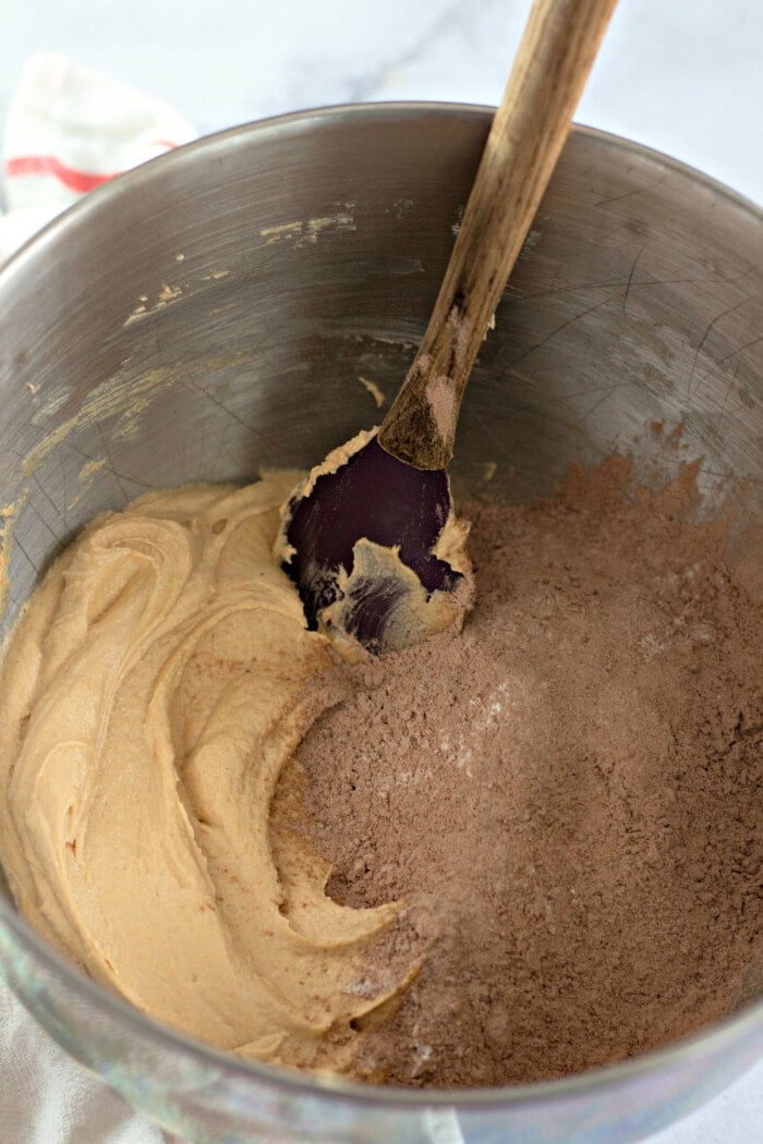 chocolate peanut butter cookie batter in bowl