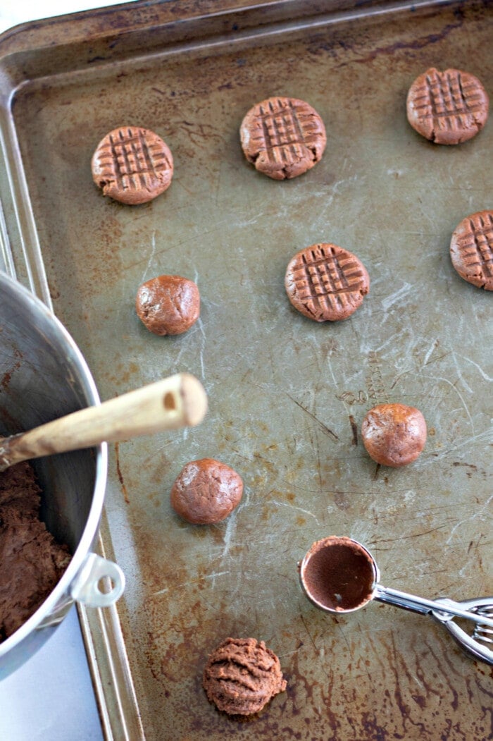 chocolate peanut butter cookies on baking sheet