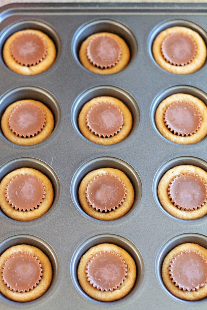 peanut butter cup cookies ready for oven