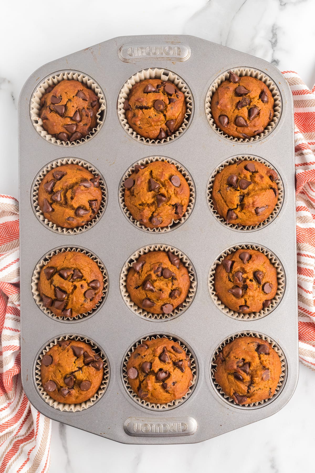 Chocolate chip pumpkin muffins in a muffin pan