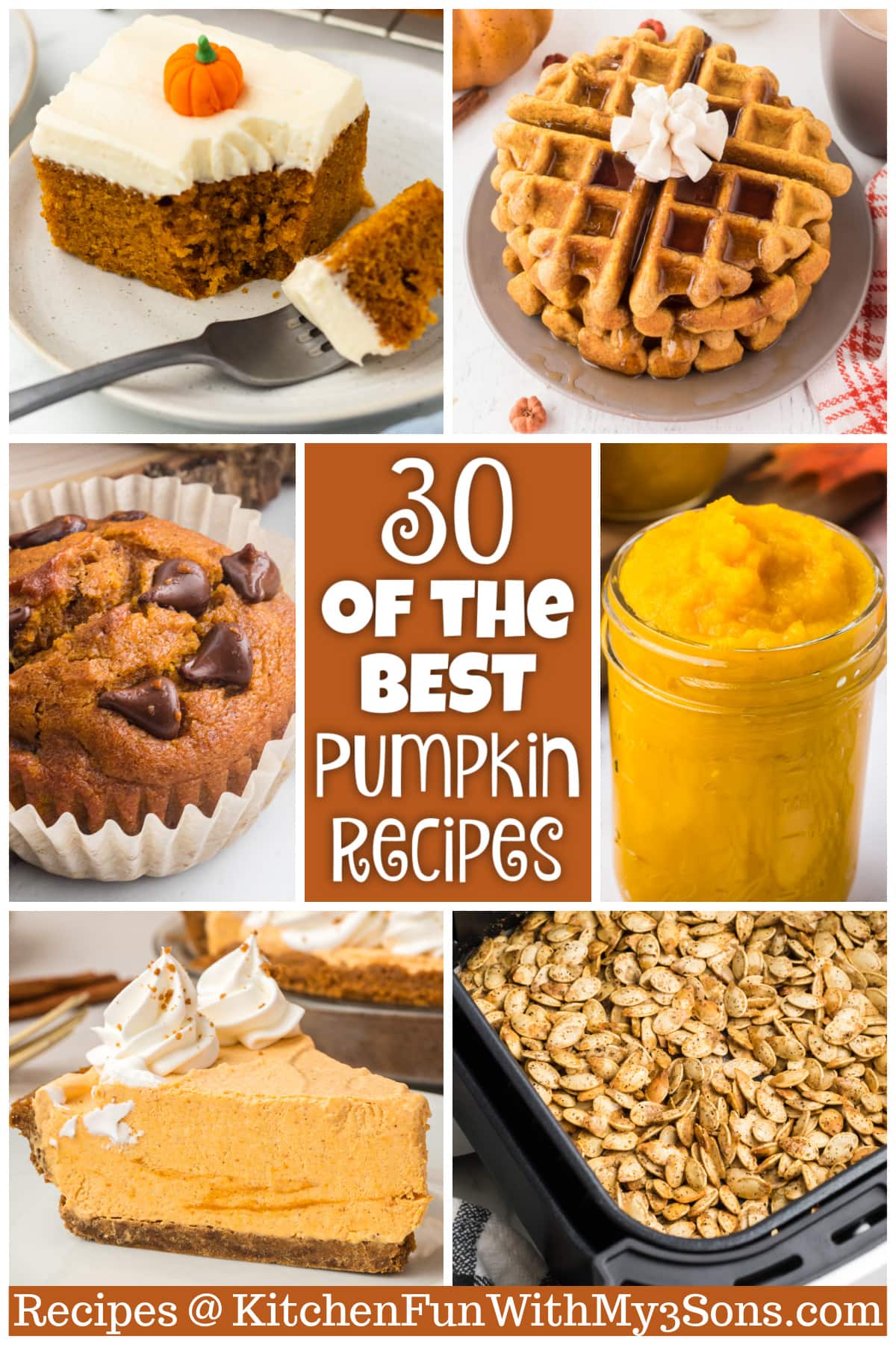 30 of the BEST Pumpkin Recipes pin
