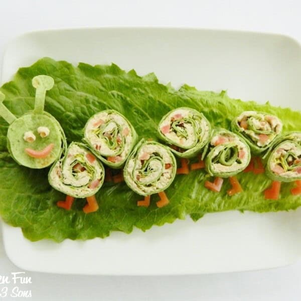 snack wrap on lettuce on a plate