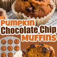 Pumpkin Chocolate Chip Muffins pin