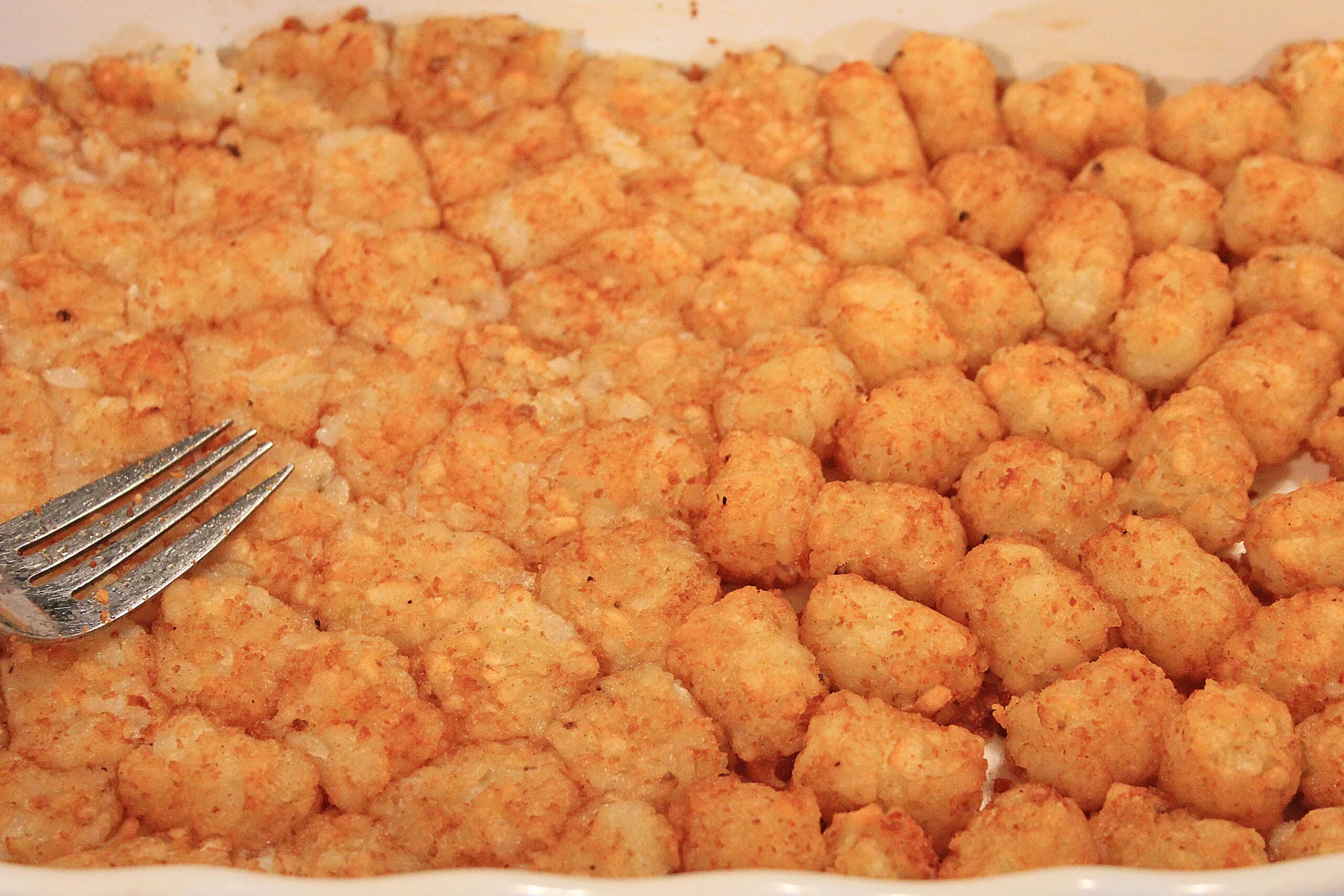 tater tots in the bottom of a dish