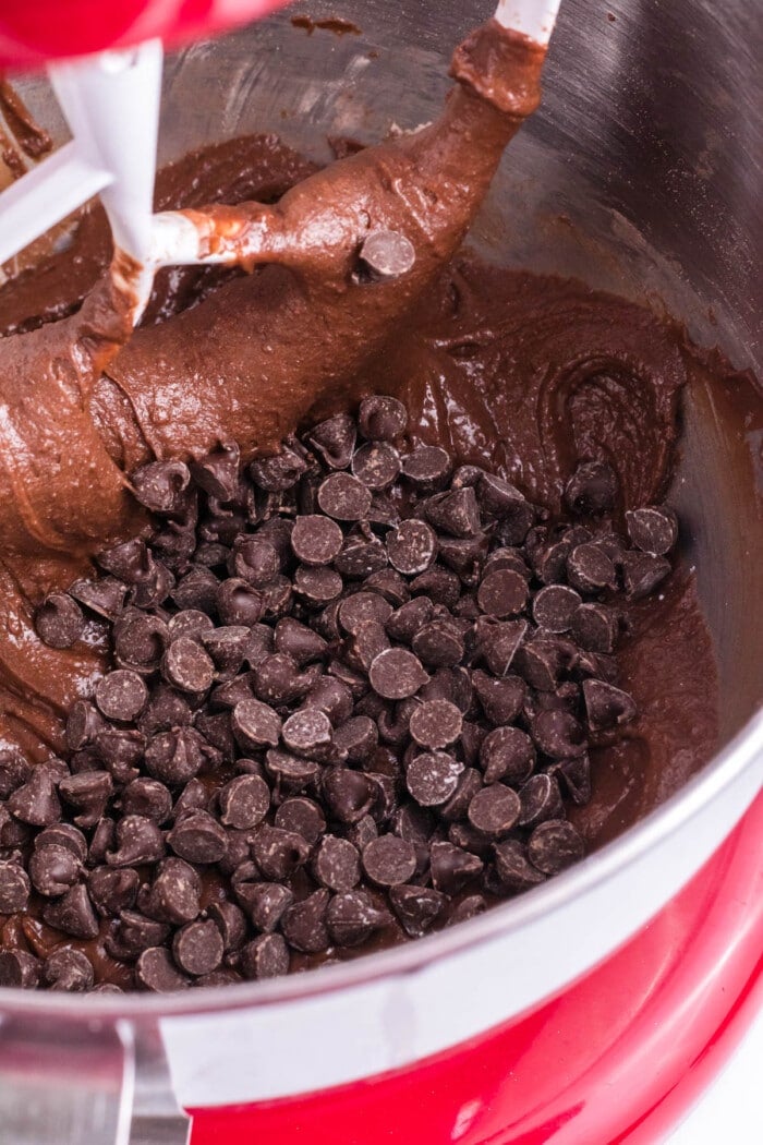 Chocolate chips mixed into Brownie Cookie batter.