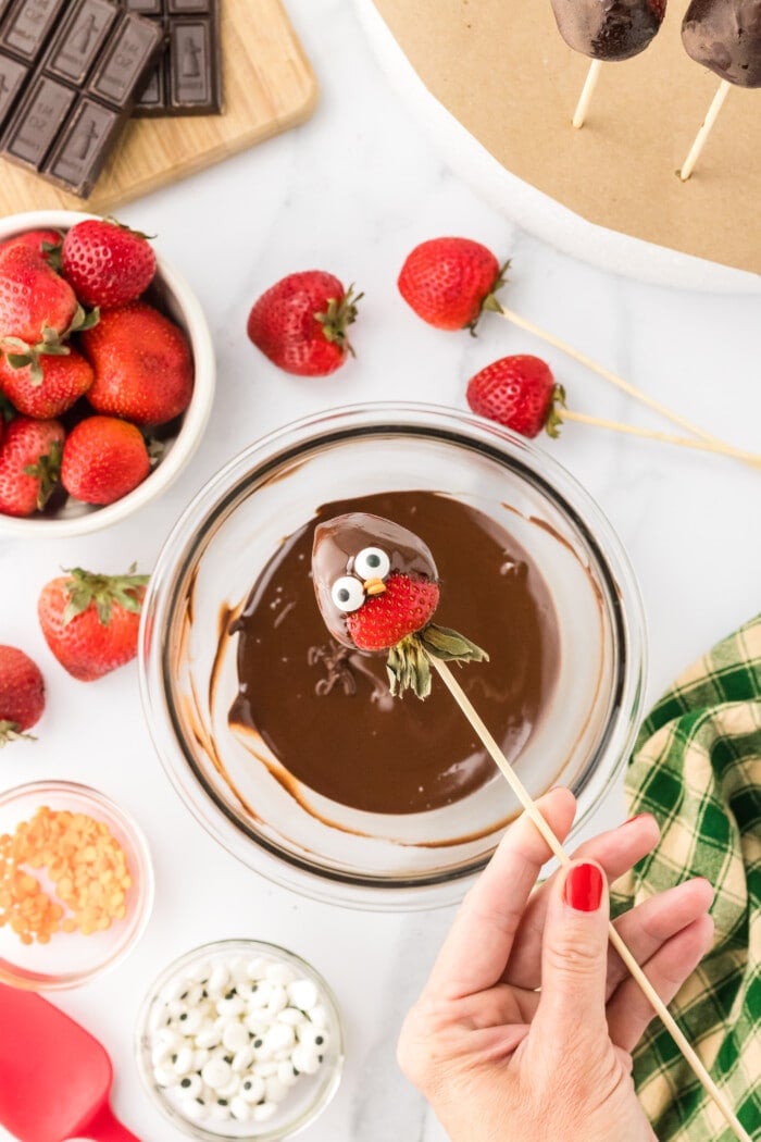chocolate covered strawberry penguin over a bowl dripping