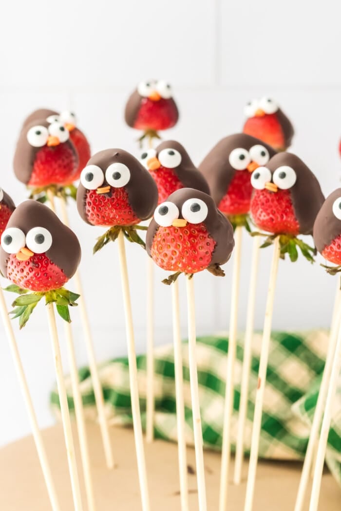 chocolate covered strawberry penguin upright to set