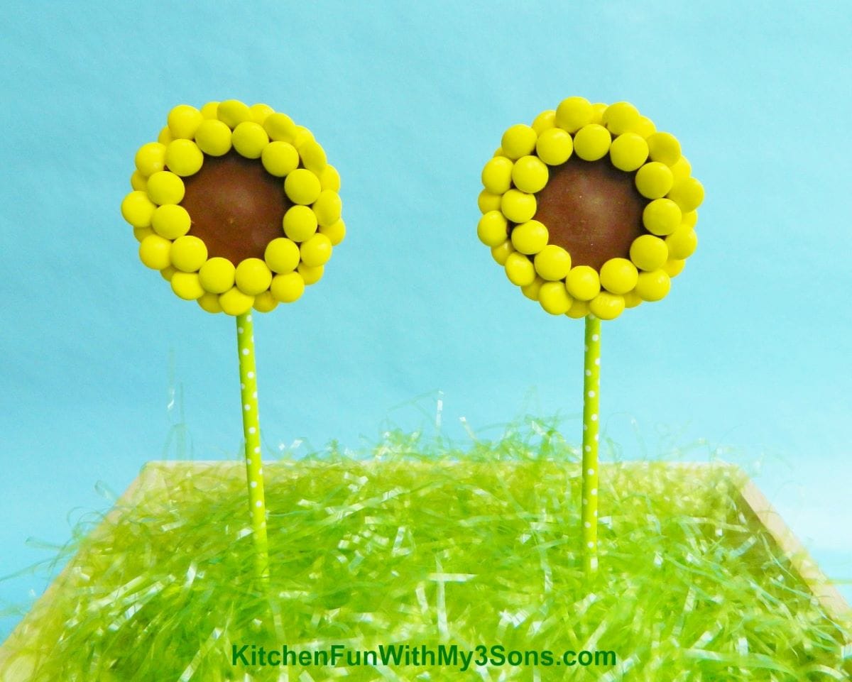 reese's peanut butter cup sunflower pops