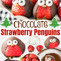 Chocolate Covered Strawberry Penguins pin