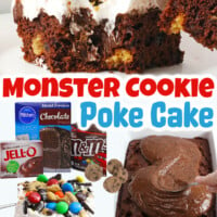 Monster Cookie Poke Cake pin
