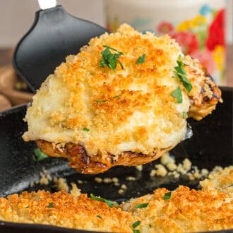 Parmesan Crusted Chicken feature