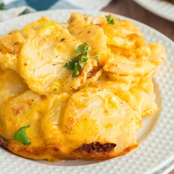 A serving os Cheesy Scalloped Potatoes on a white plate.