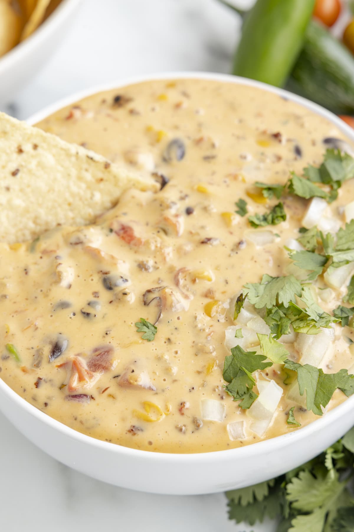 Queso dip in a white bowl.