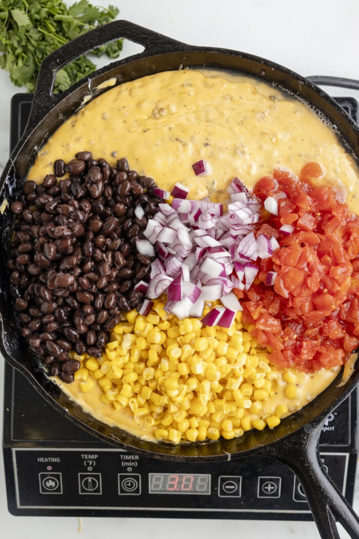 Black beans, red onion, corn, and red pepper added to a queso dip.