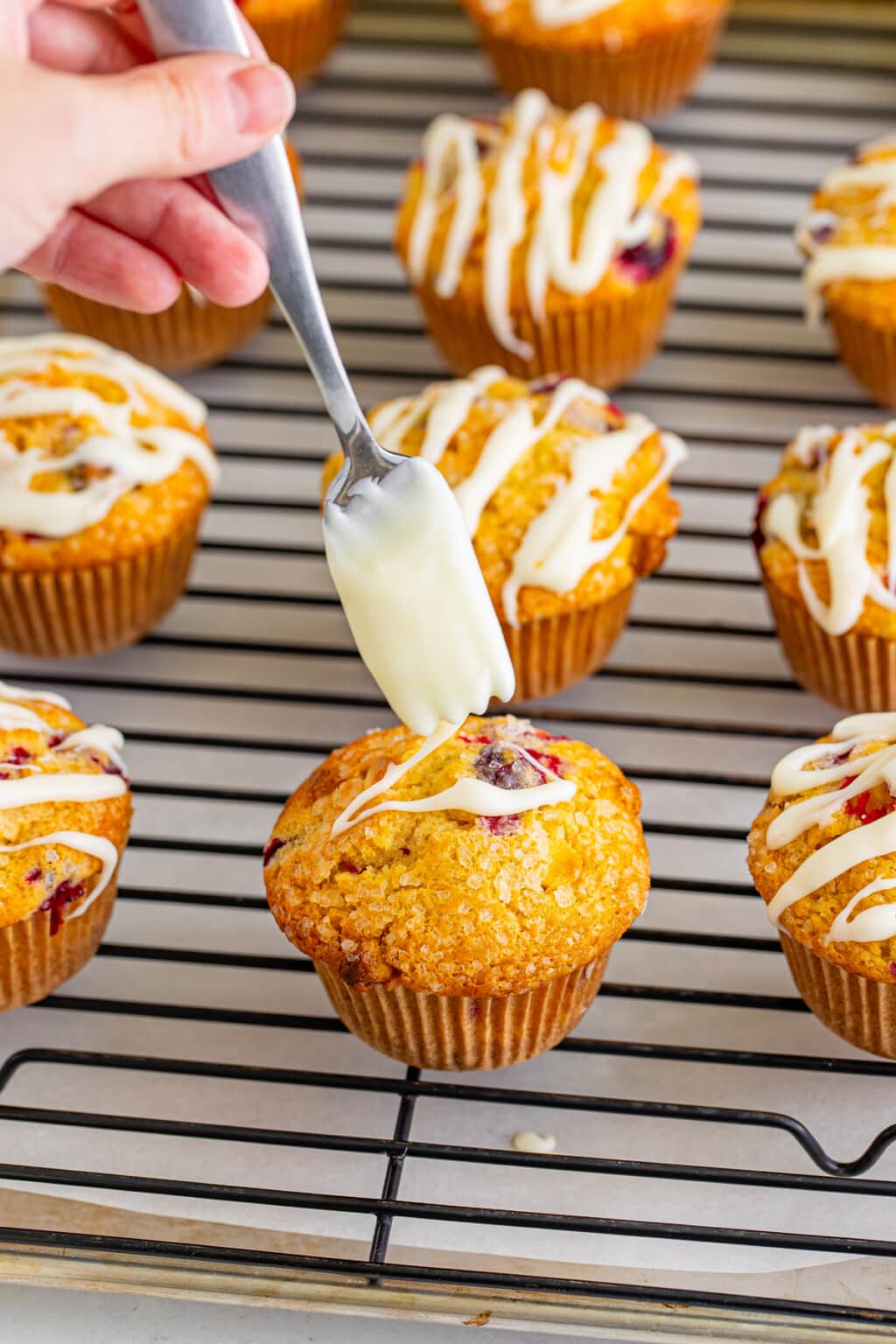 Cranberry Muffins | Kitchen Fun With My 3 Sons