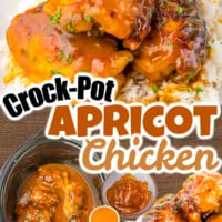 Apricot Chicken pin