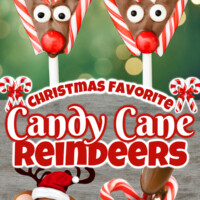 Candy Cane Reindeer pin