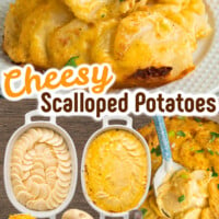 Cheesy Scalloped Potatoes pin