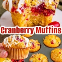 Cranberry Muffins pin