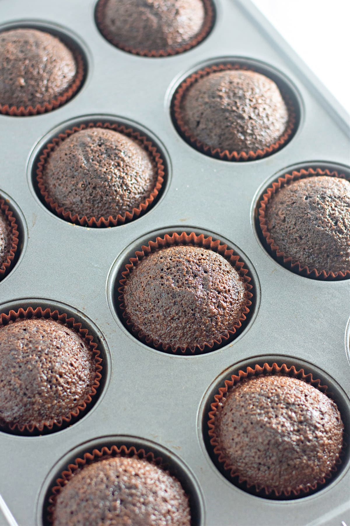 chocolate cupcakes baked in pan