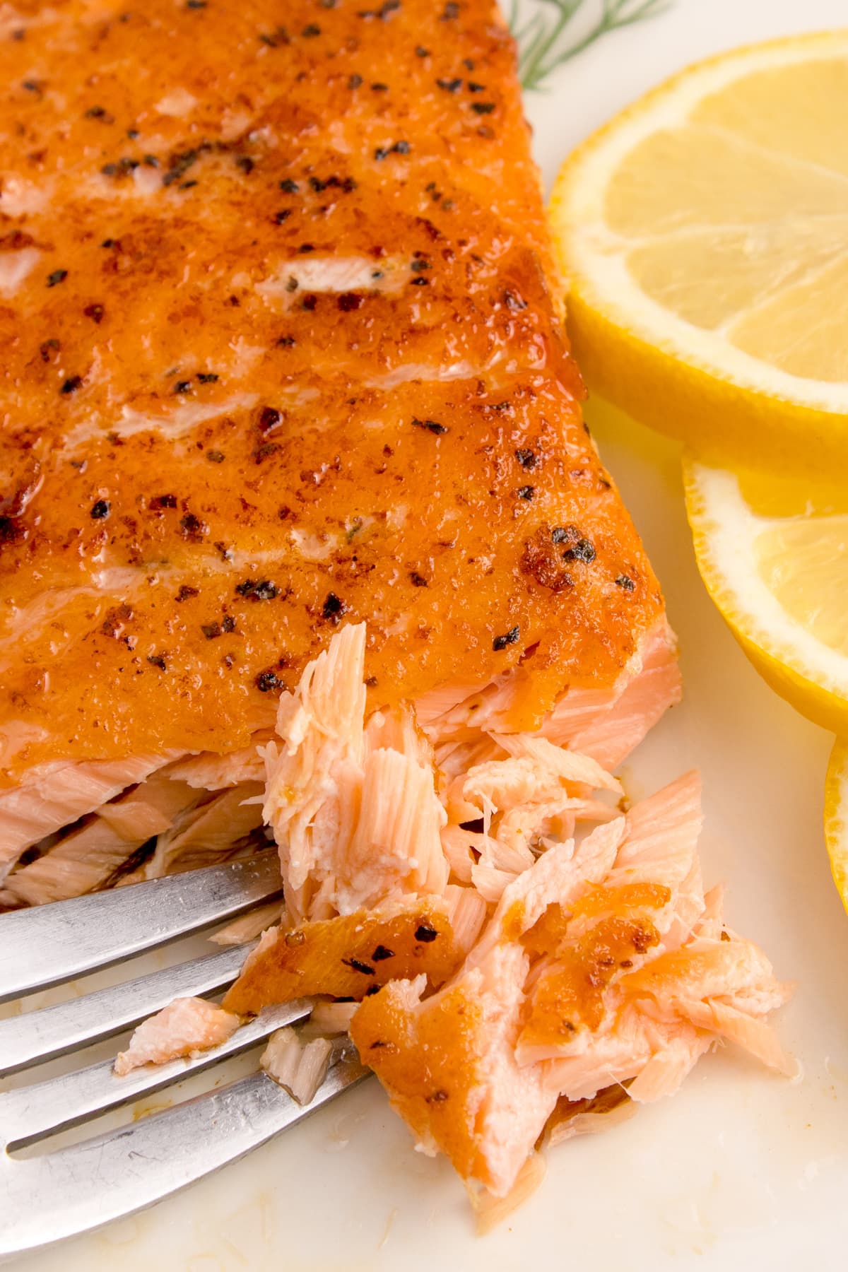 Sous Vide Salmon flaked with fork and slices of lemon on plate