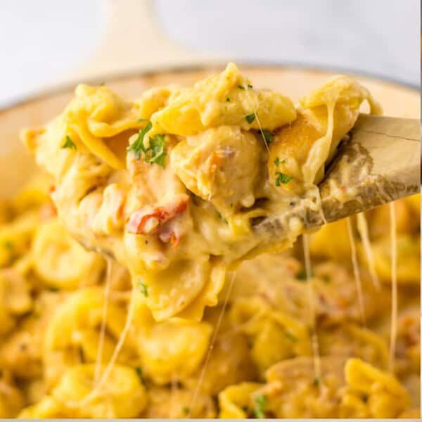 Marry Me Chicken Tortellini feature
