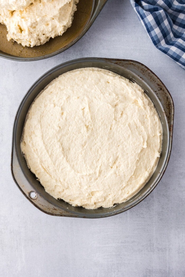 Vanilla cake batter in a pan