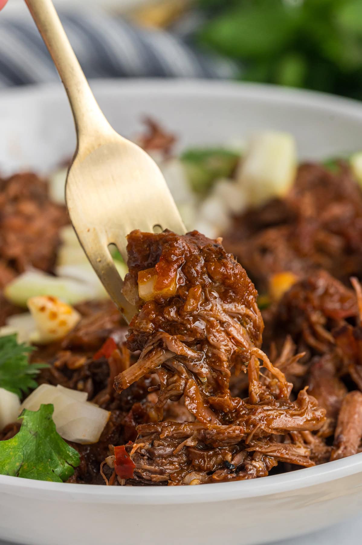 Mexican birria on a fork
