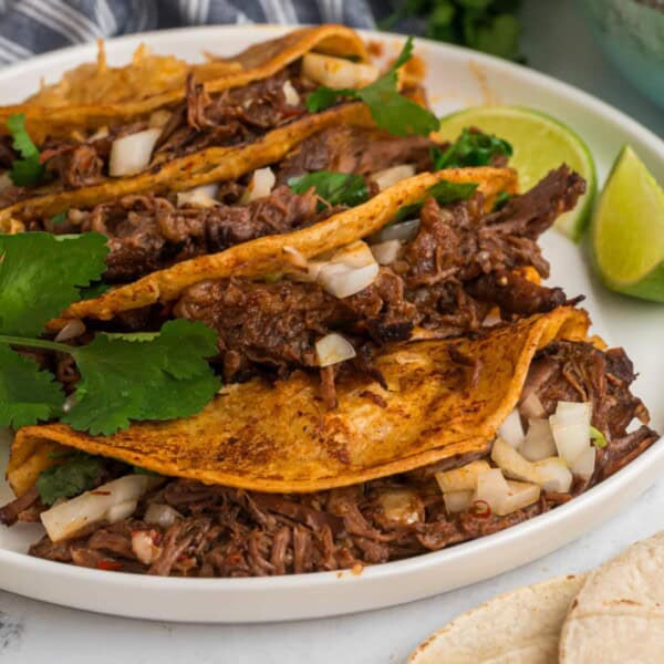 Birria Tacos feature