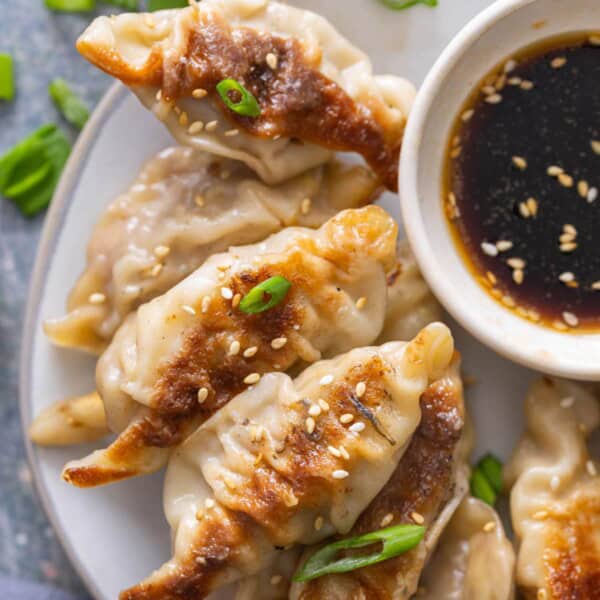 Potstickers feature