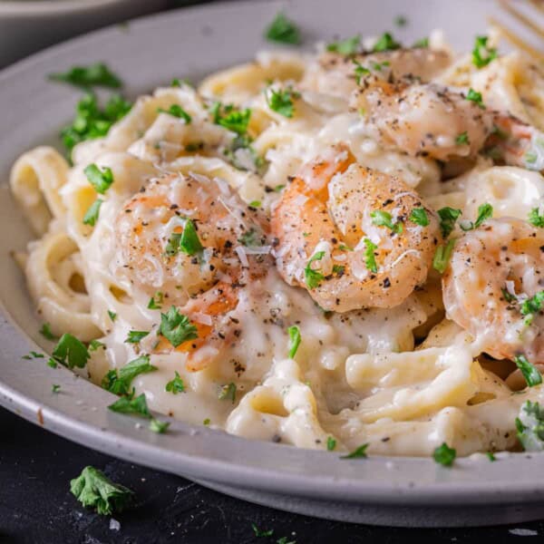 Shrimp Alfredo feature