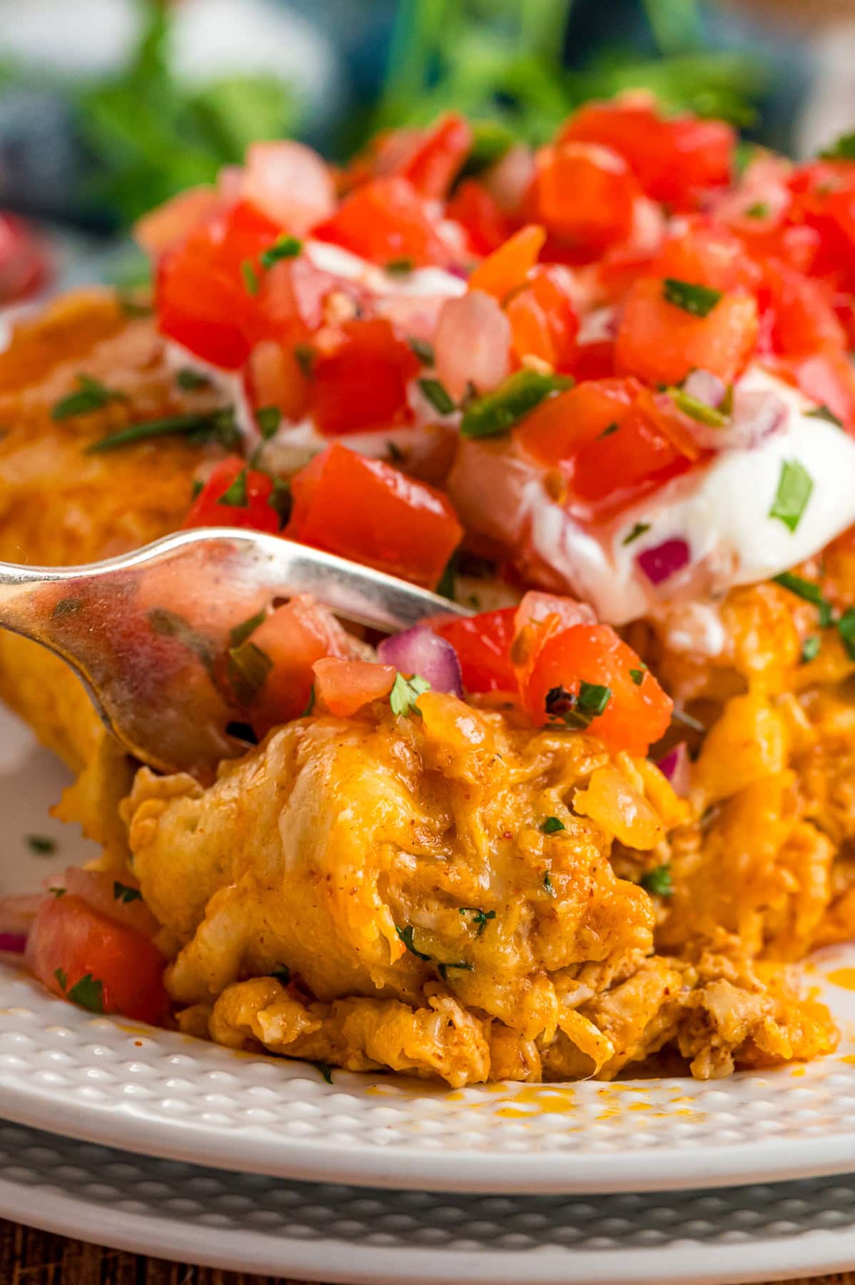 Close up of chicken enchiladas on a plate