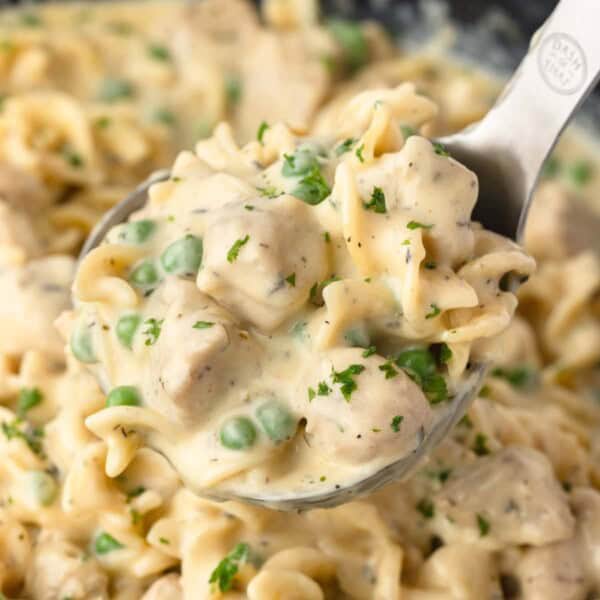 Close up view of Chicken and Noodles on a silver spoon.