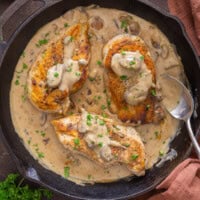 Cream of Mushroom Chicken feature