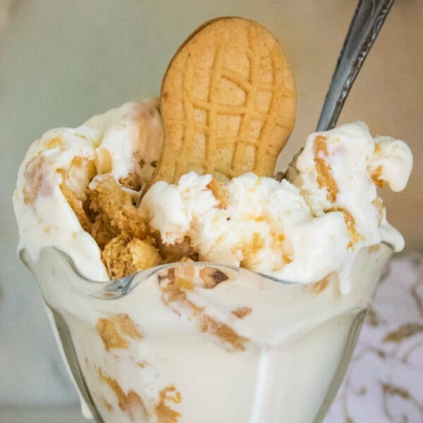Nutter Butter Ice Cream feature